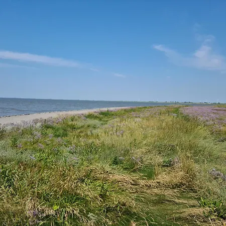 Ferienhaus Haus Deichoase - Urlaub Direkt Am Deich *