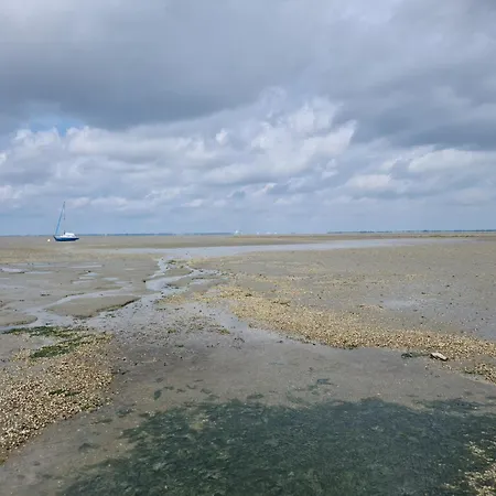 Haus Deichoase - Urlaub Direkt Am Deich Sehestedt (Lower-Saxony)