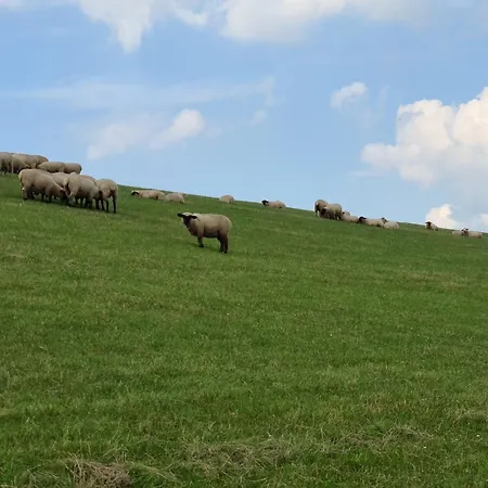 Haus Deichoase - Urlaub Direkt Am Deich Sehestedt (Lower-Saxony)