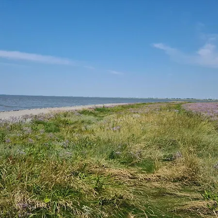 Haus Deichoase - Urlaub Direkt Am Deich Sehestedt (Lower-Saxony)